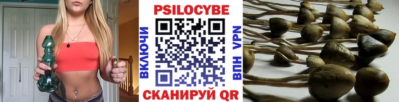 даркнет сайт  Белоусово  Галлюциногенные грибы Cubensis 